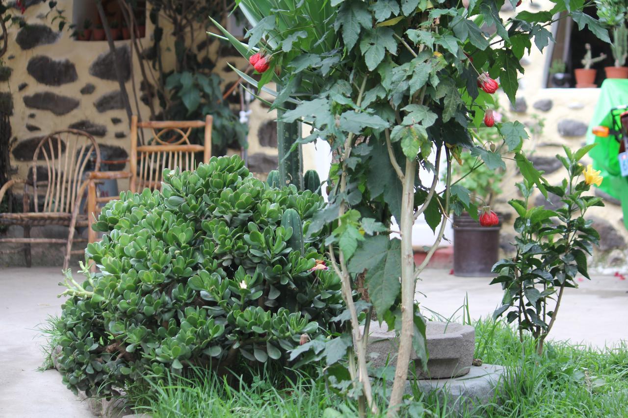 Killari B&B Ollantaytambo Exterior photo